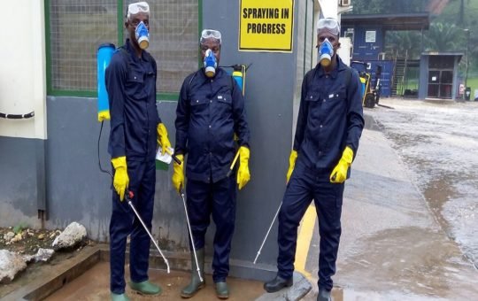 Sprayingbest